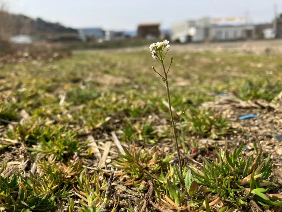 KakaoTalk_20240328_123748732.jpg?type=w1