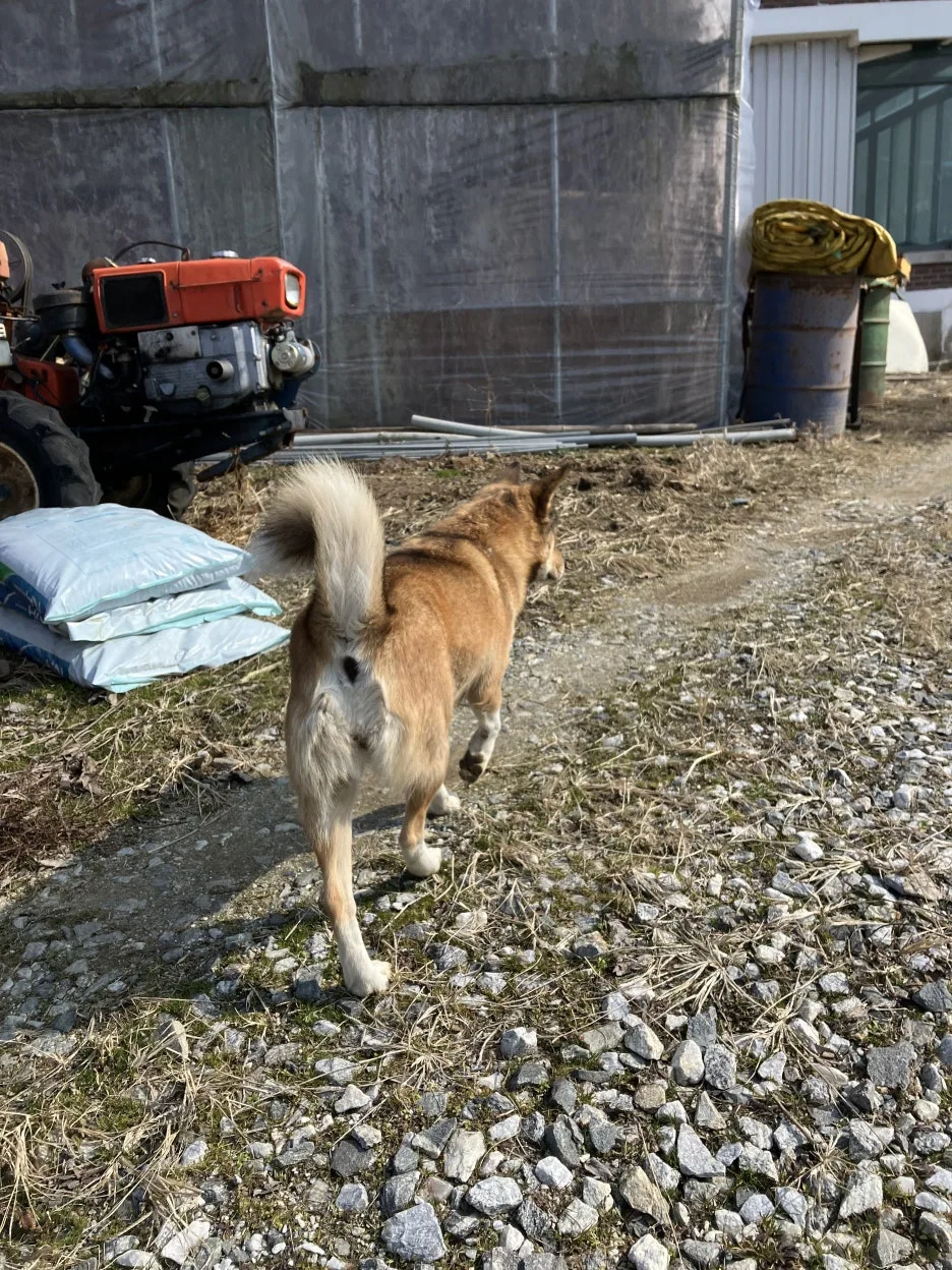 KakaoTalk_20250310_000709233.jpg?type=w1