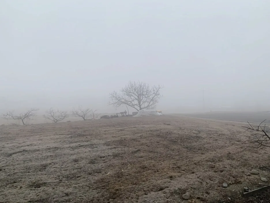 SE-6d7ab018-5363-4049-b170-220eb72e9708.jpg?type=w1