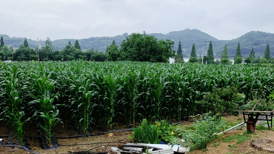 SE-ab3b0505-e0f2-428a-8468-0b5d3c2353bf.jpg?type=w1