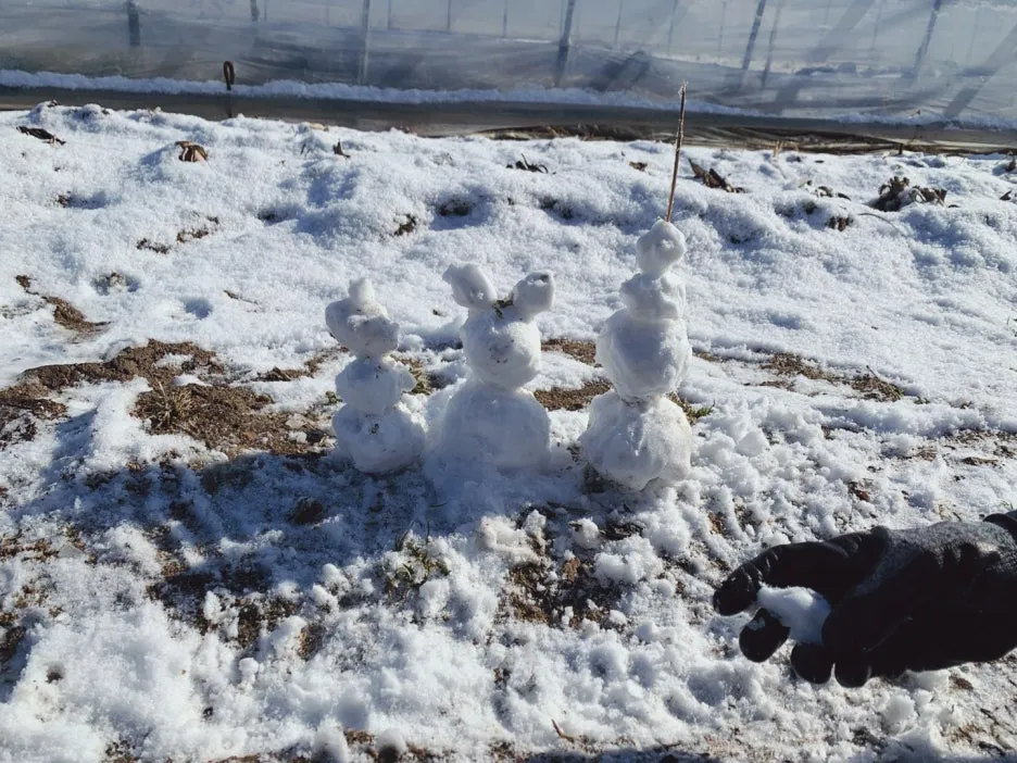 SE-0ed1af97-d9b0-4a52-8df9-ec746f3179f2.jpg?type=w1