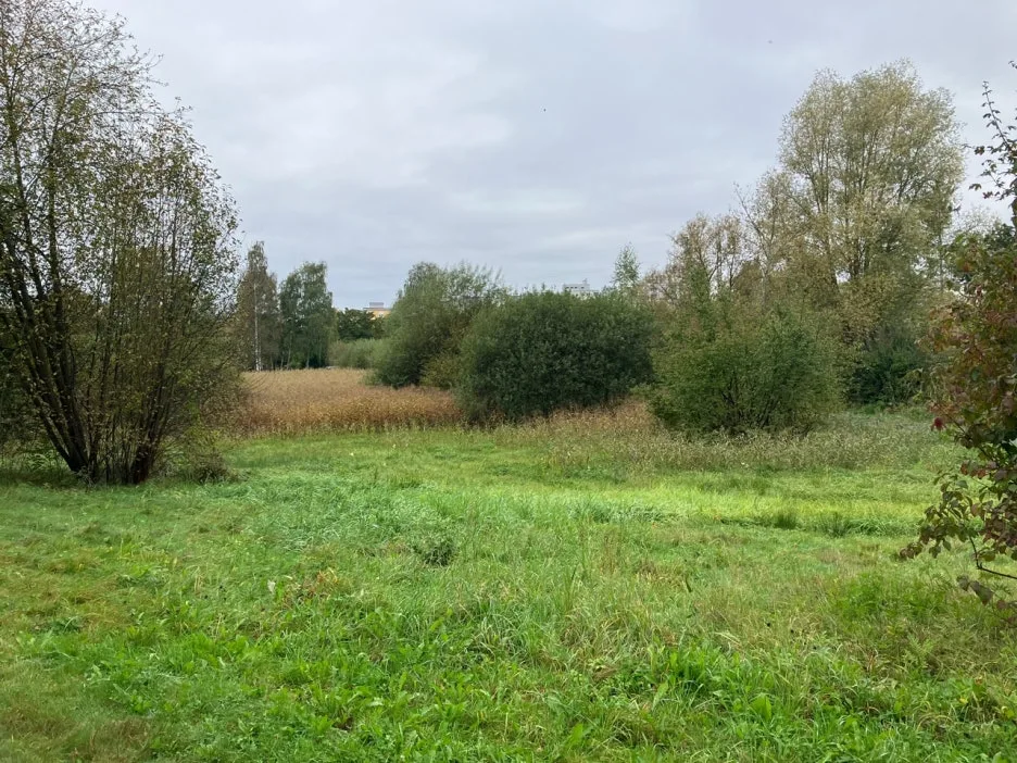 KakaoTalk_20241030_182538543.jpg?type=w1