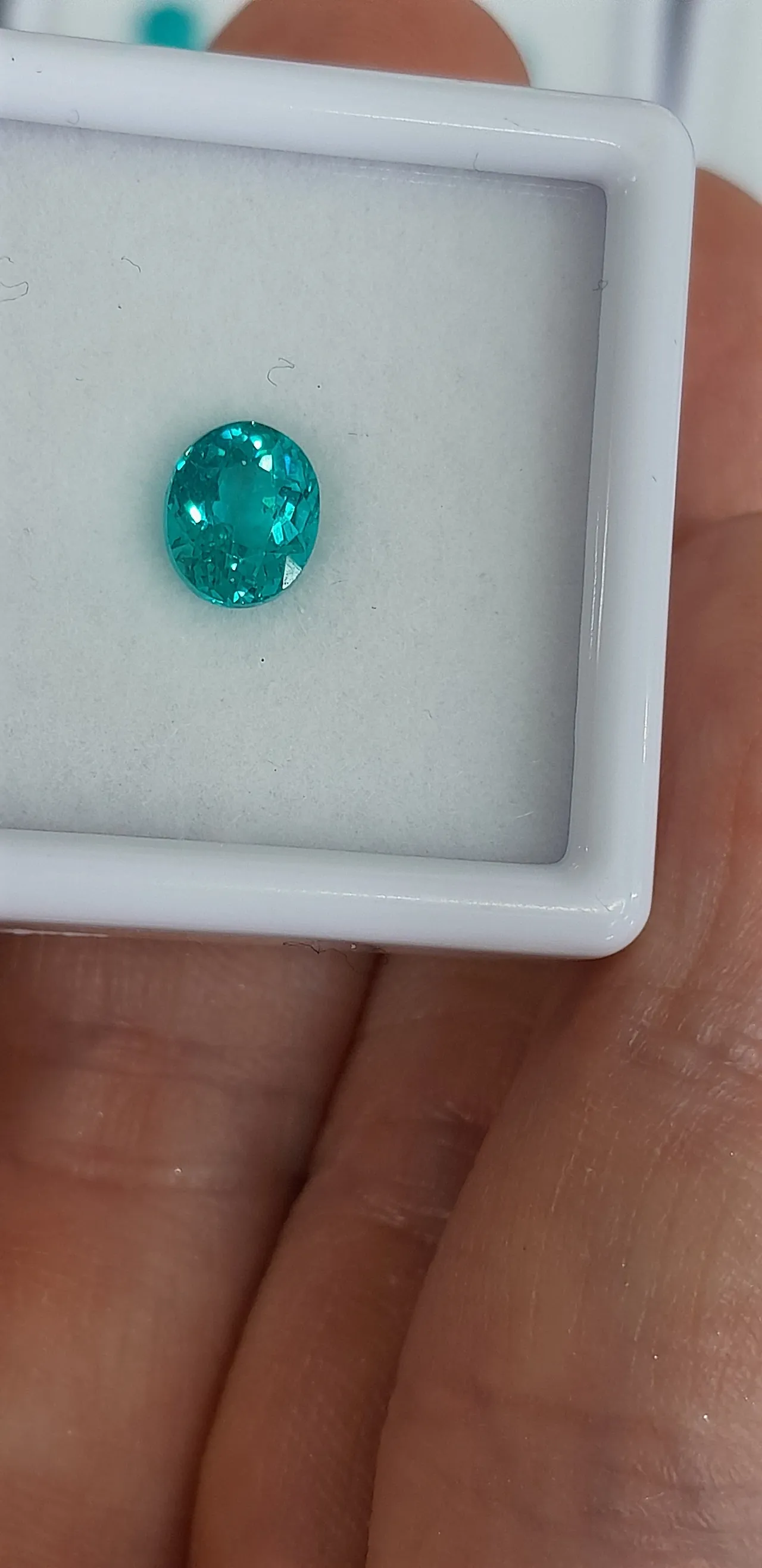 KakaoTalk_20250927_164246466_15.jpg?type=w1600