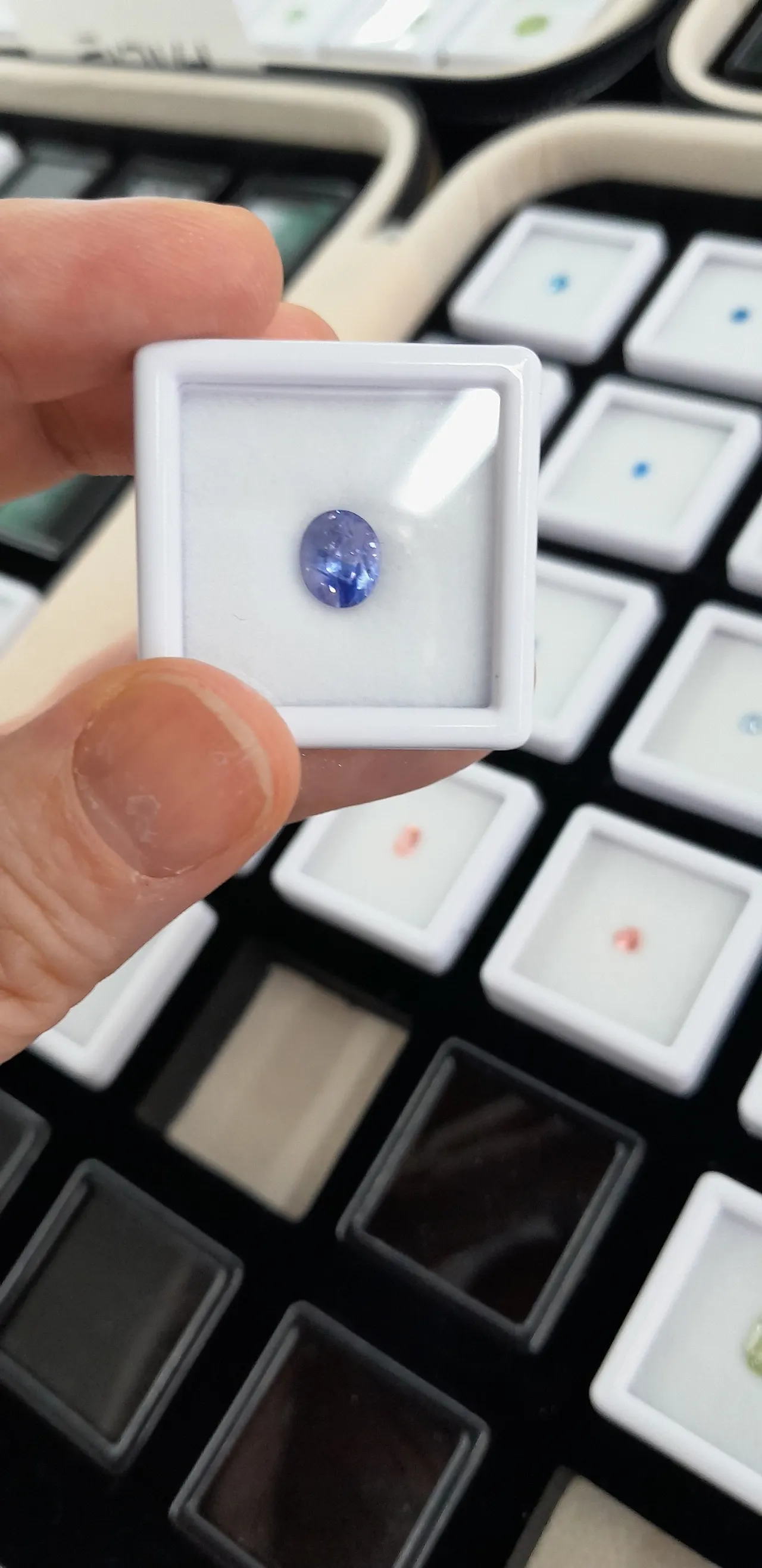 KakaoTalk_20250927_164246466_02.jpg?type=w1600