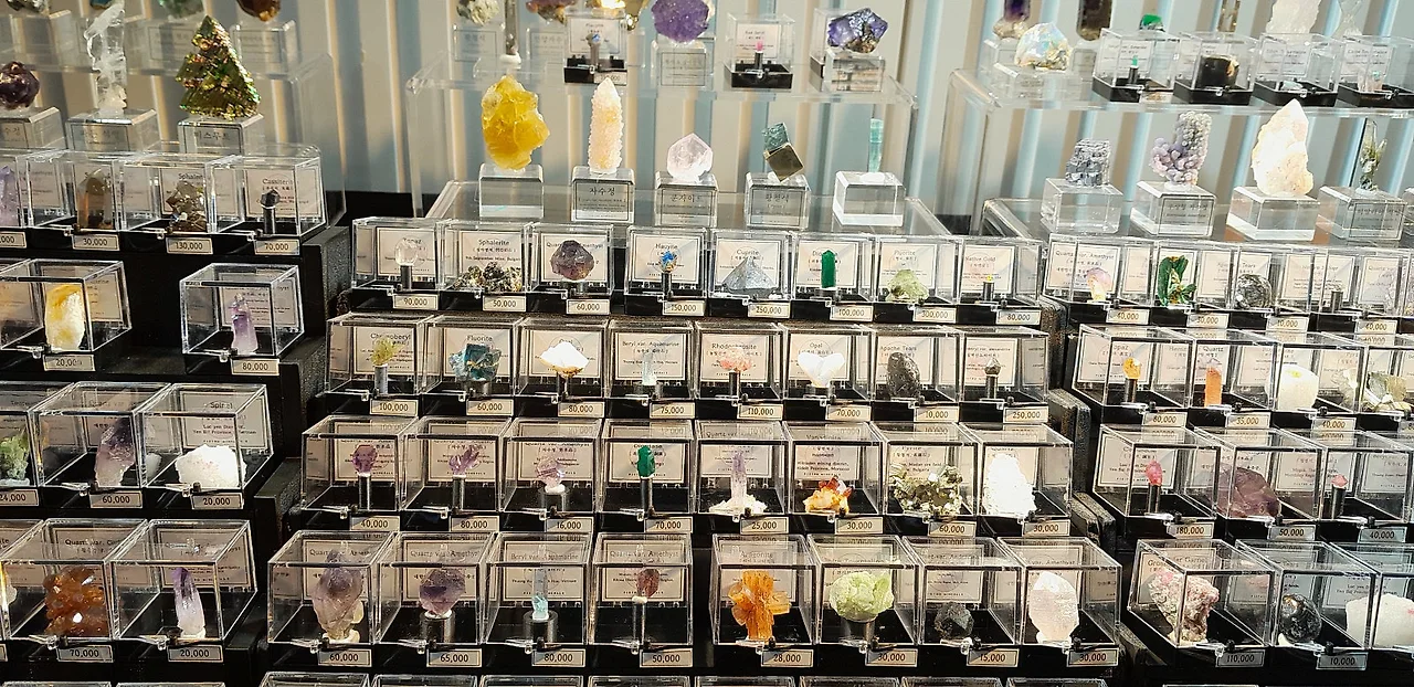 KakaoTalk_20250927_164246466_28.jpg?type=w1600