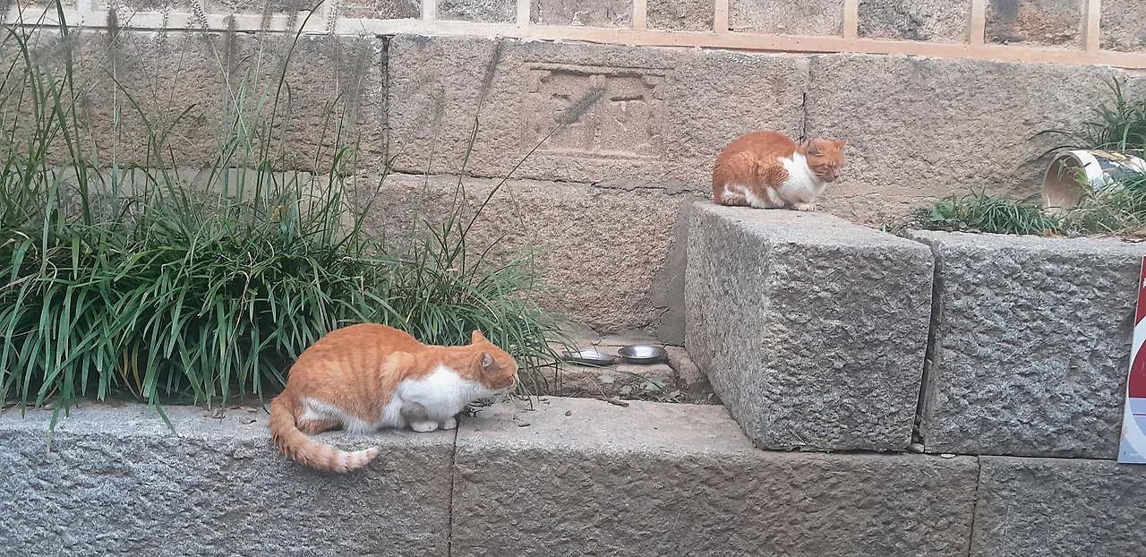 KakaoTalk_20251019_173022585_04.jpg?type=w1600