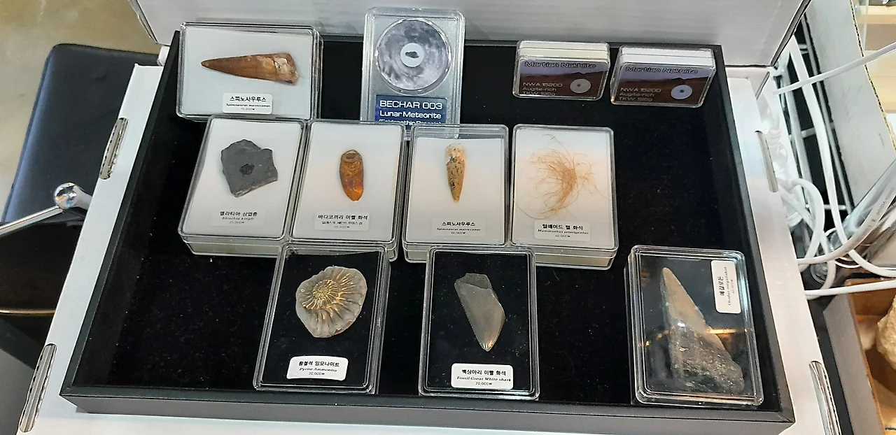 KakaoTalk_20250927_164246466_19.jpg?type=w1600