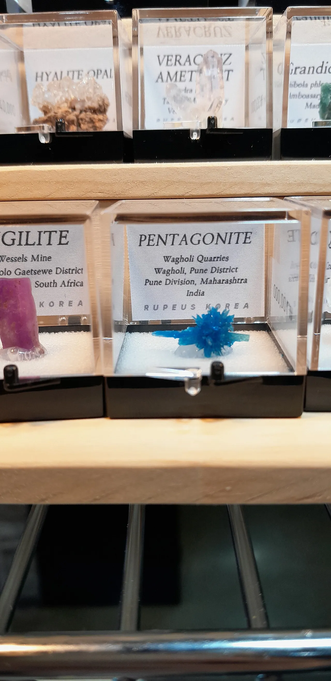 KakaoTalk_20250927_164246466_20.jpg?type=w1600