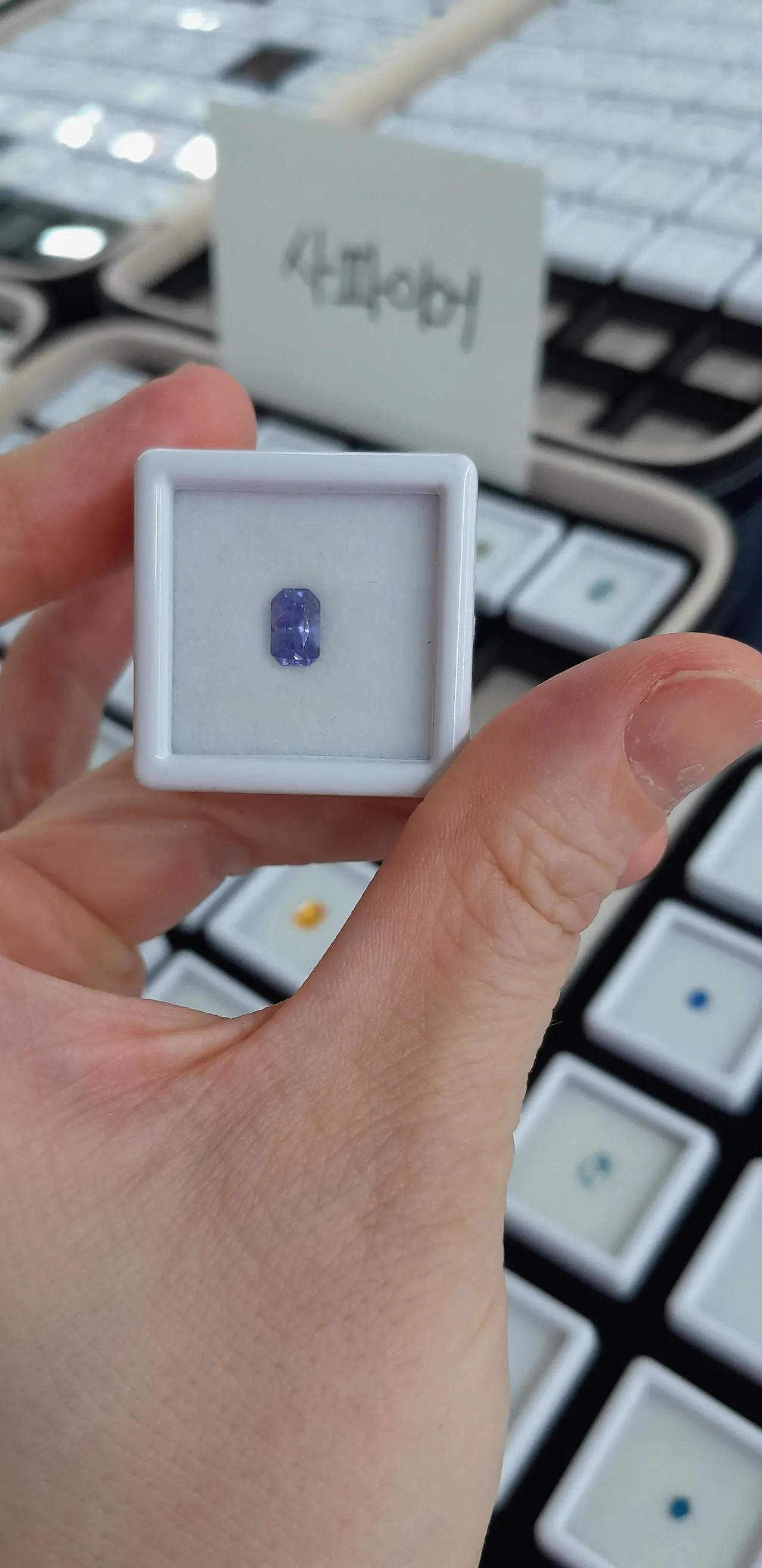 KakaoTalk_20250927_164246466_10.jpg?type=w1600