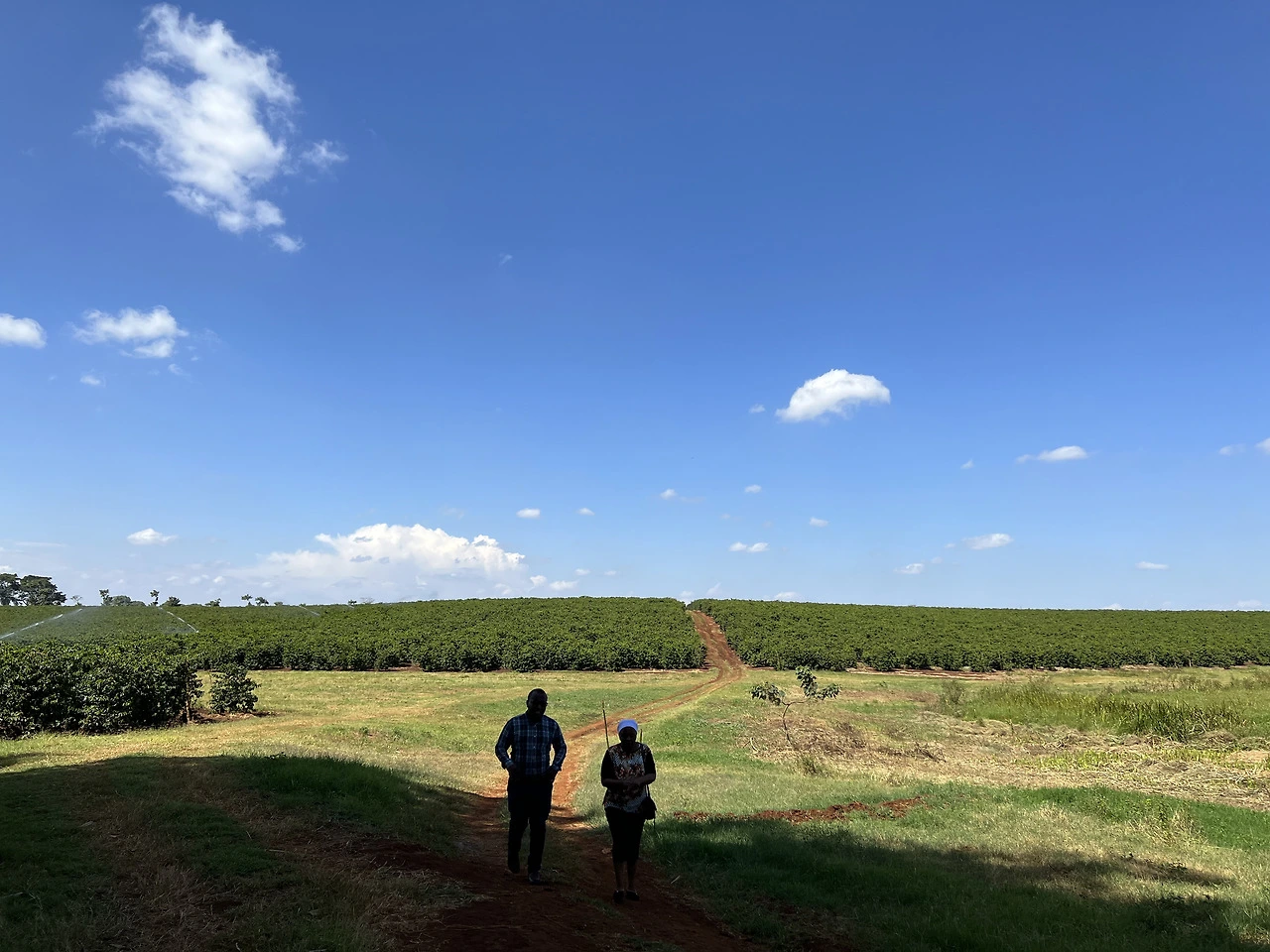 케냐니에리 (6).HEIC