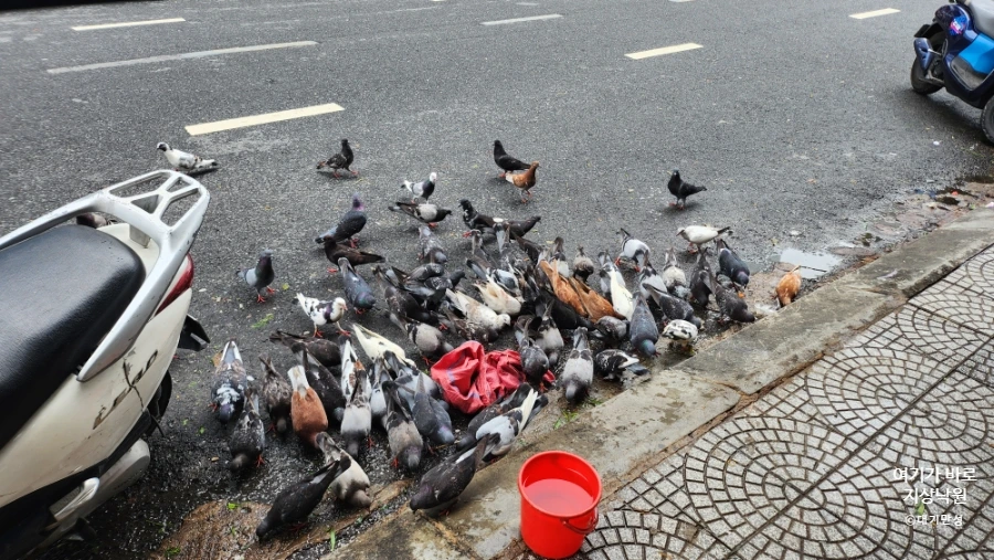 SE-8180418e-af3c-11f0-a562-5b22d5fef30b.jpg?type=w1