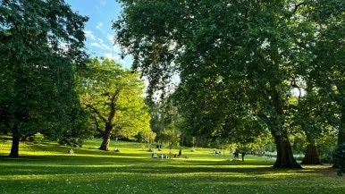 KakaoTalk_20250331_205325393_03.jpg?type=w386