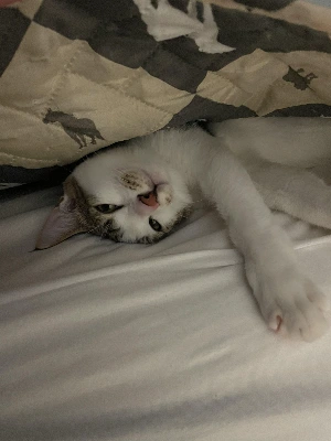 img.jpg?credential=yqXZFxpELC7KVnFOS48ylbz2pIh7yKj8&expires=1761922799&allow_ip=&allow_referer=&signature=2paEkBMBR%2BTrCwGgovSfAbQSwok%3D