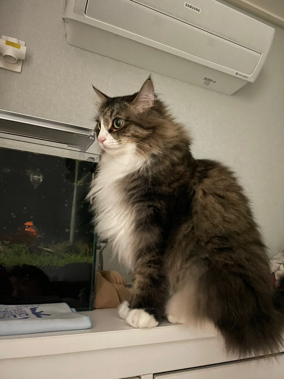 img.jpg?credential=yqXZFxpELC7KVnFOS48ylbz2pIh7yKj8&expires=1761922799&allow_ip=&allow_referer=&signature=PGVlyziYSE9R1%2FnUEM2z3L%2BRw0Q%3D