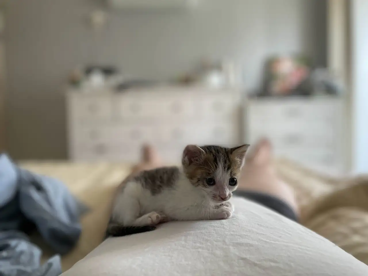 img.jpg?credential=yqXZFxpELC7KVnFOS48ylbz2pIh7yKj8&expires=1761922799&allow_ip=&allow_referer=&signature=Nh9AyW%2FT%2Fi%2B46uBKALdA9qRhmpI%3D