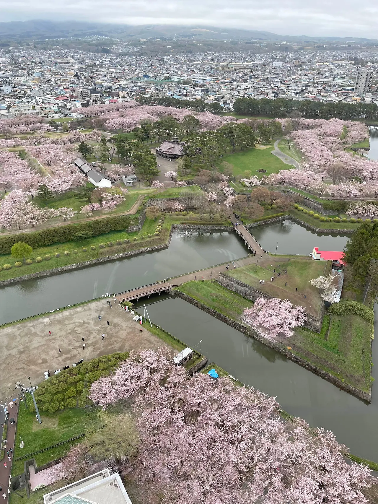 img.jpg?credential=yqXZFxpELC7KVnFOS48ylbz2pIh7yKj8&expires=1761922799&allow_ip=&allow_referer=&signature=6WF3SgBfJ3P36VH9tlUDTce6WuA%3D