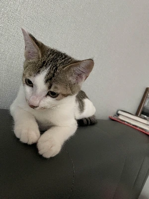 img.jpg?credential=yqXZFxpELC7KVnFOS48ylbz2pIh7yKj8&expires=1761922799&allow_ip=&allow_referer=&signature=qagbV%2FUzbaSbkzXvTuLFwGWJiiY%3D