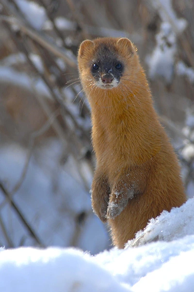 img.jpg?credential=yqXZFxpELC7KVnFOS48ylbz2pIh7yKj8&expires=1764514799&allow_ip=&allow_referer=&signature=d%2B6xJIohGXMI07SbhyU%2F4gVKnmc%3D