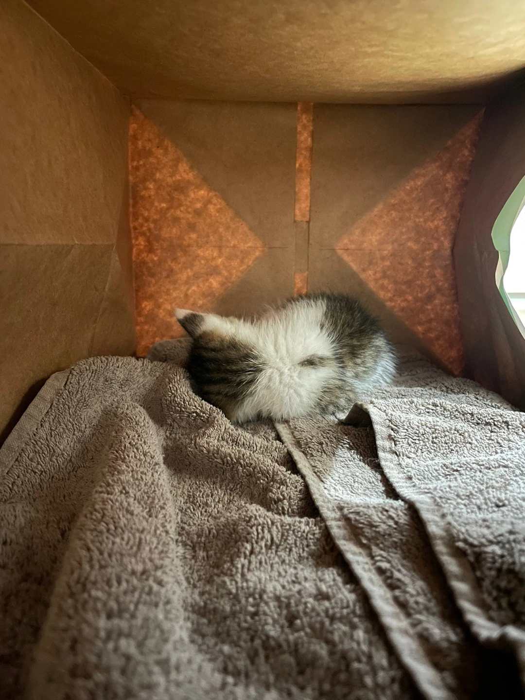 img.jpg?credential=yqXZFxpELC7KVnFOS48ylbz2pIh7yKj8&expires=1761922799&allow_ip=&allow_referer=&signature=cZ%2ByD%2FxAWV4ysos2H1lN5ZtWGbc%3D