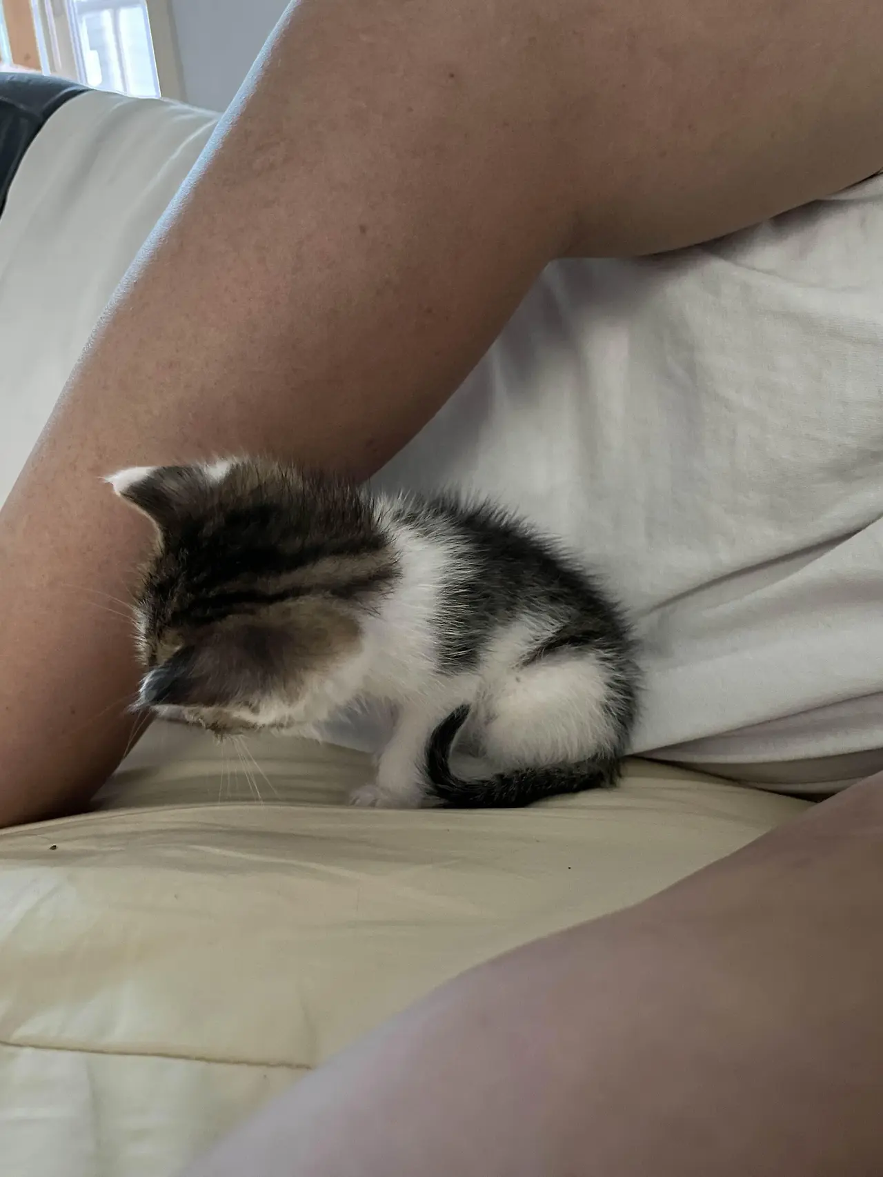 img.jpg?credential=yqXZFxpELC7KVnFOS48ylbz2pIh7yKj8&expires=1761922799&allow_ip=&allow_referer=&signature=wf%2BmFGs4TKTBNGG9tpd6N4G%2FORg%3D