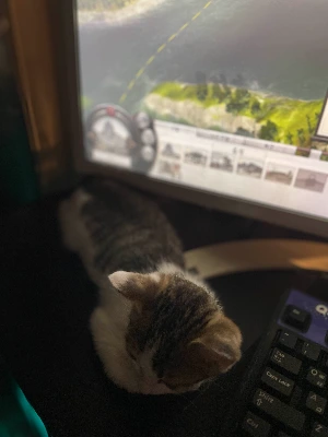 img.jpg?credential=yqXZFxpELC7KVnFOS48ylbz2pIh7yKj8&expires=1761922799&allow_ip=&allow_referer=&signature=Rr6EOMsbjEMI43YjwvPWbH7mFoo%3D