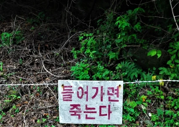 img.webp?credential=yqXZFxpELC7KVnFOS48ylbz2pIh7yKj8&expires=1764514799&allow_ip=&allow_referer=&signature=3eeUqawa%2FW0YT7dOvhVxYFD0XsM%3D