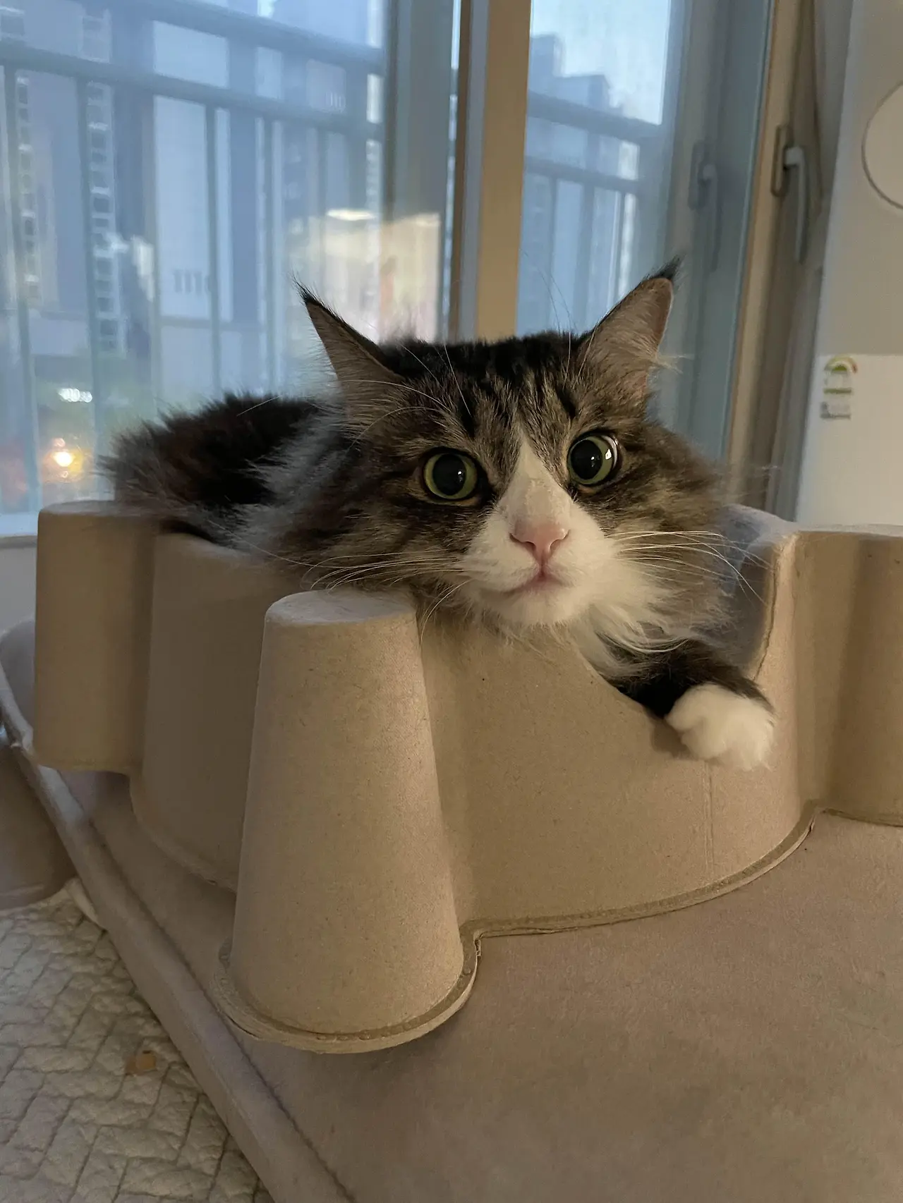 img.jpg?credential=yqXZFxpELC7KVnFOS48ylbz2pIh7yKj8&expires=1761922799&allow_ip=&allow_referer=&signature=oXNi8VzUB3Pgg9VWlDFJuF6HOBY%3D