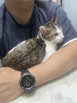 img.jpg?credential=yqXZFxpELC7KVnFOS48ylbz2pIh7yKj8&expires=1761922799&allow_ip=&allow_referer=&signature=8QiQe4MV0c5F9Ok%2B0eXdQPOgXrE%3D