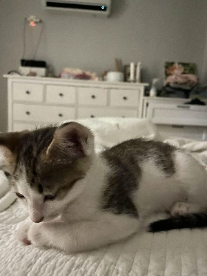 img.jpg?credential=yqXZFxpELC7KVnFOS48ylbz2pIh7yKj8&expires=1761922799&allow_ip=&allow_referer=&signature=3TQqupUbSsI%2Ba7HQxkR1avHu%2Bsg%3D