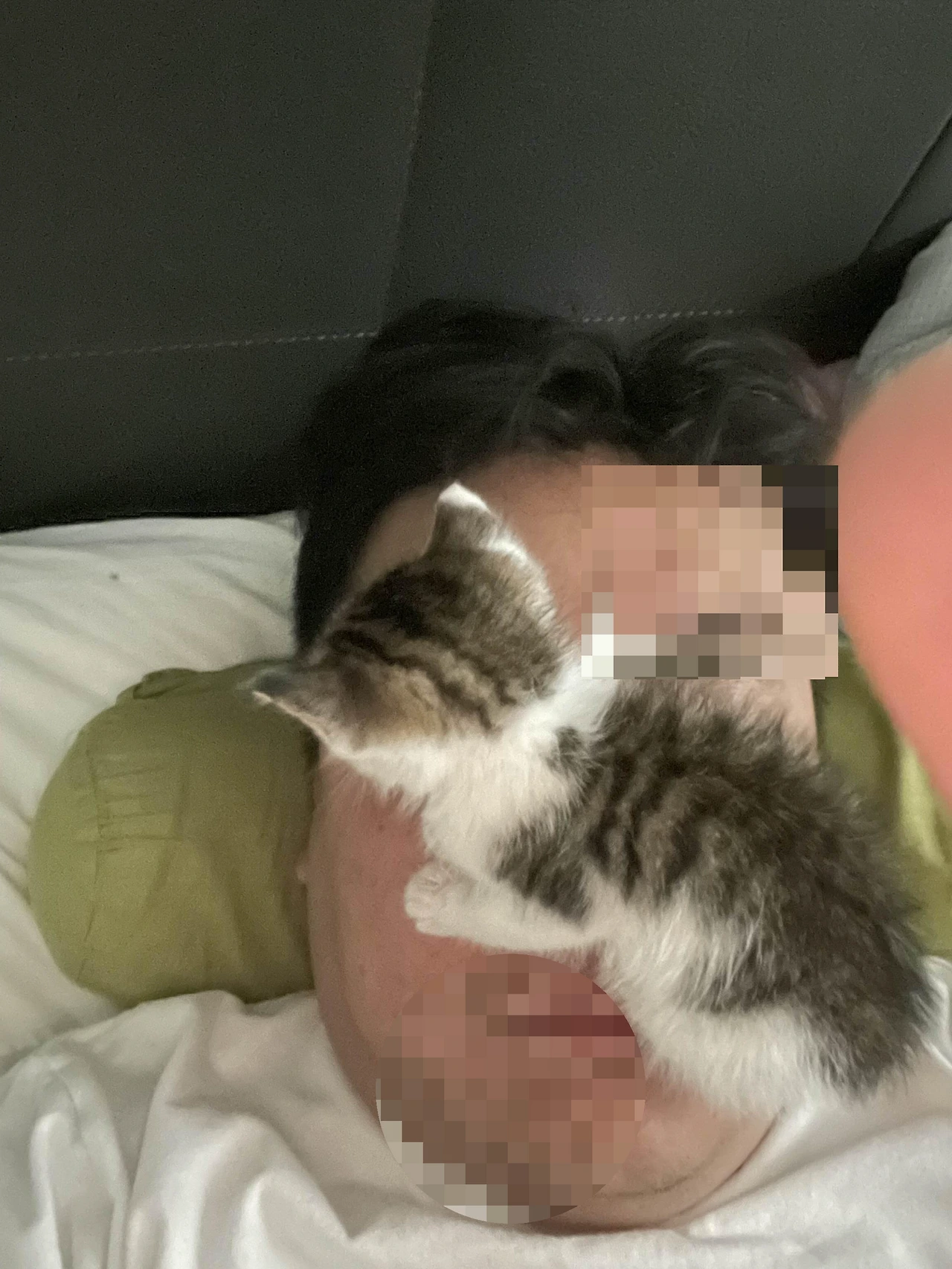 img.jpg?credential=yqXZFxpELC7KVnFOS48ylbz2pIh7yKj8&expires=1761922799&allow_ip=&allow_referer=&signature=86nf%2BWsHAaOyn0MTrdWgq2sH14c%3D