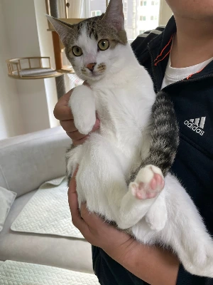 img.jpg?credential=yqXZFxpELC7KVnFOS48ylbz2pIh7yKj8&expires=1761922799&allow_ip=&allow_referer=&signature=VF0YBFf2wsTlgOV9%2FfhDjtj9WNE%3D