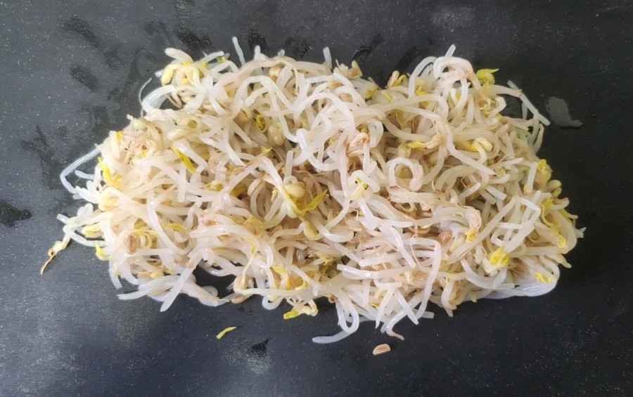 900%EF%BC%BF1759812543484.jpg?type=w966