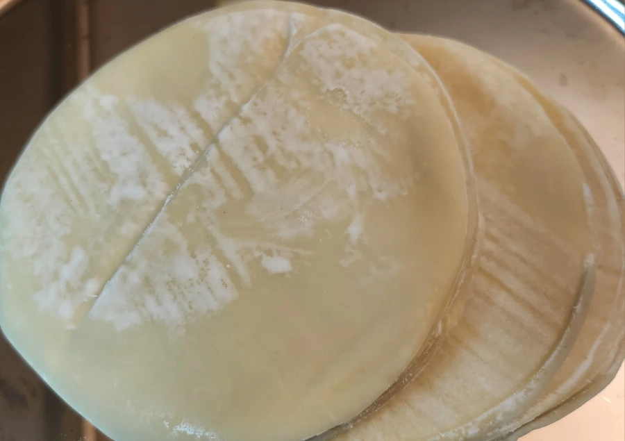 900%EF%BC%BF1759809284793.jpg?type=w966