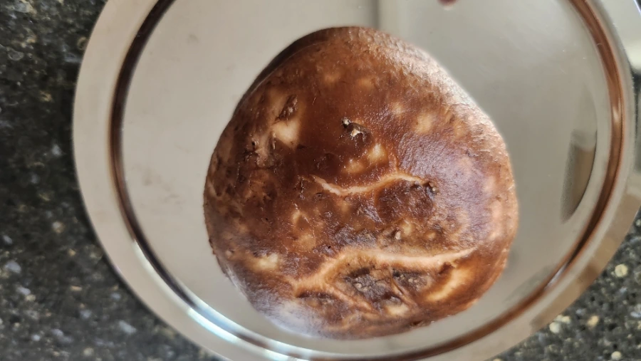 900%EF%BC%BF1759809244450.jpg?type=w966