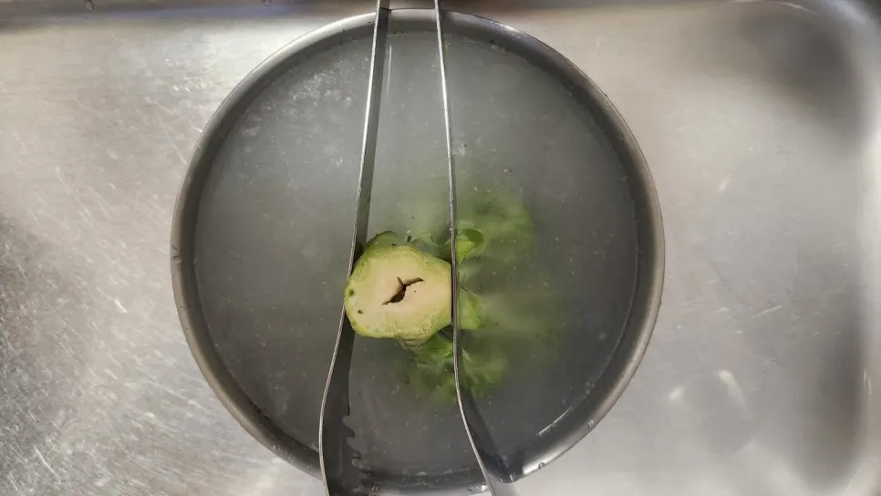 SE-9dc08182-94d1-11f0-83a7-e7dca5ccfdc4.jpg?type=w966