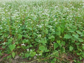 다운로드 (5).jpeg