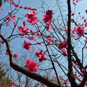 1741928407468-9.jpg?type=w773