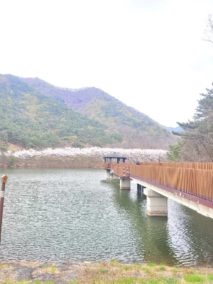 20250405_104219.jpg?type=w773