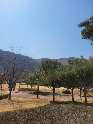 20250322_115521.jpg?type=w773