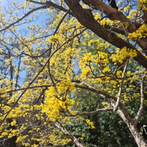 1741928407468-4.jpg?type=w773