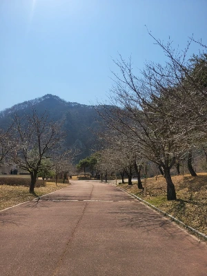 20250322_120107.jpg?type=w773