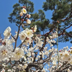 1741928407468-7.jpg?type=w773