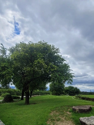 1741251261986-3.jpg?type=w773