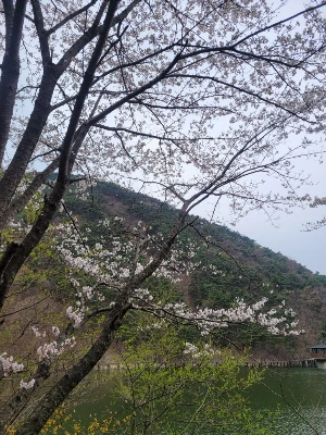 20250405_103429.jpg?type=w773