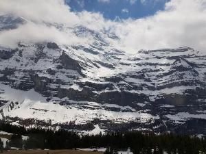 1741254924258-15.jpg?type=w773