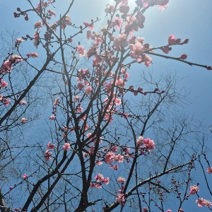 1741928407468-2.jpg?type=w773