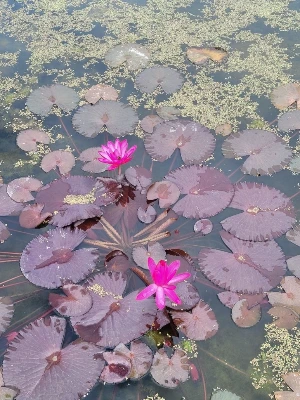 1741251297431-25.jpg?type=w773