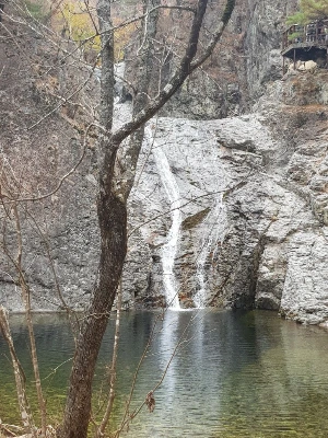 1741254977418-1.jpg?type=w773