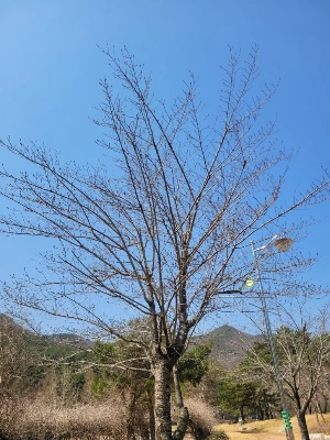 20250322_120817.jpg?type=w773