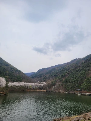 20250405_103859.jpg?type=w773